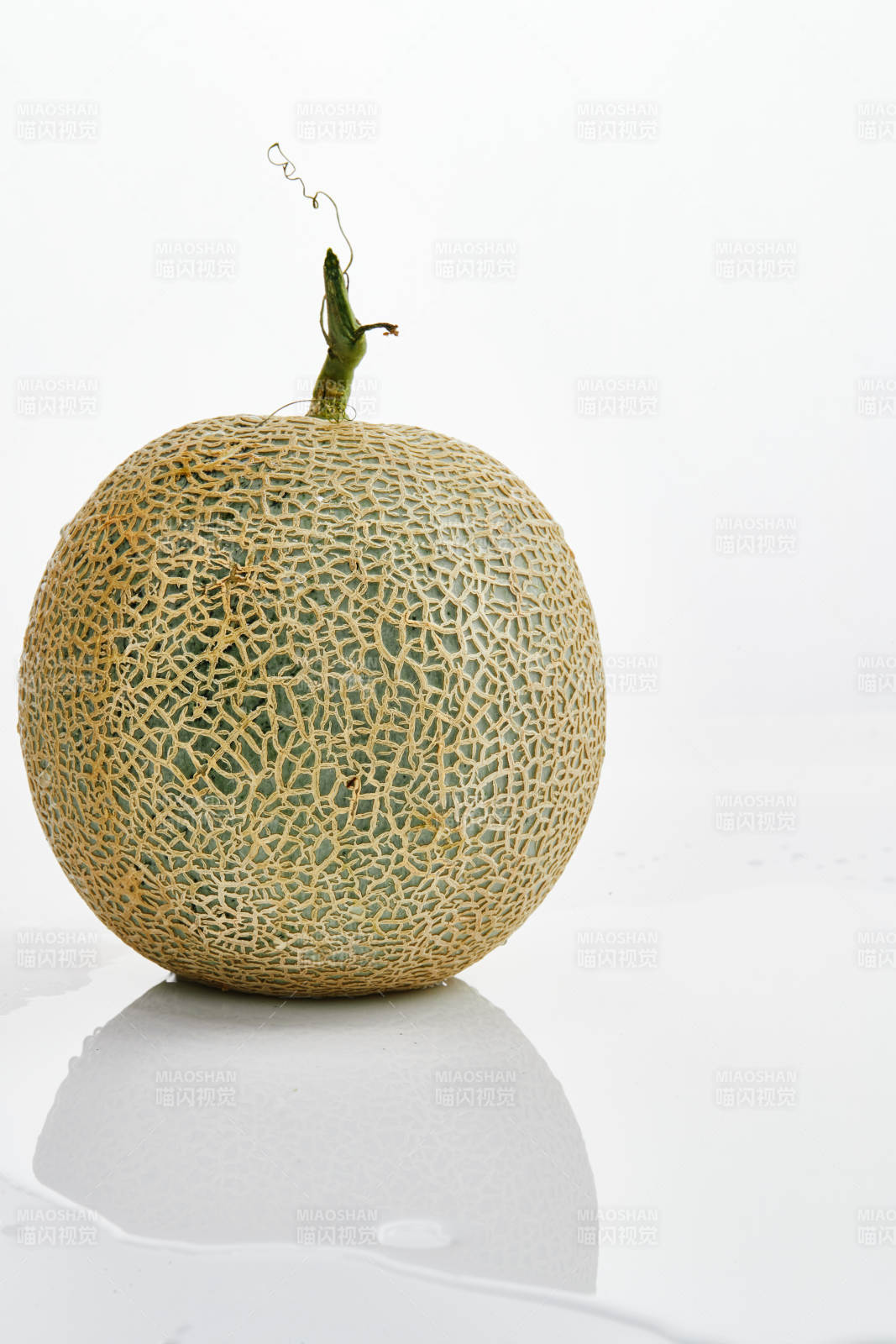 白色背景上摆放的新鲜哈密瓜图片