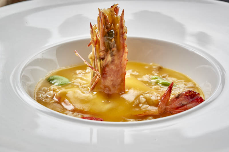 白色圆瓷盘装的咖喱酱深海红虾图片