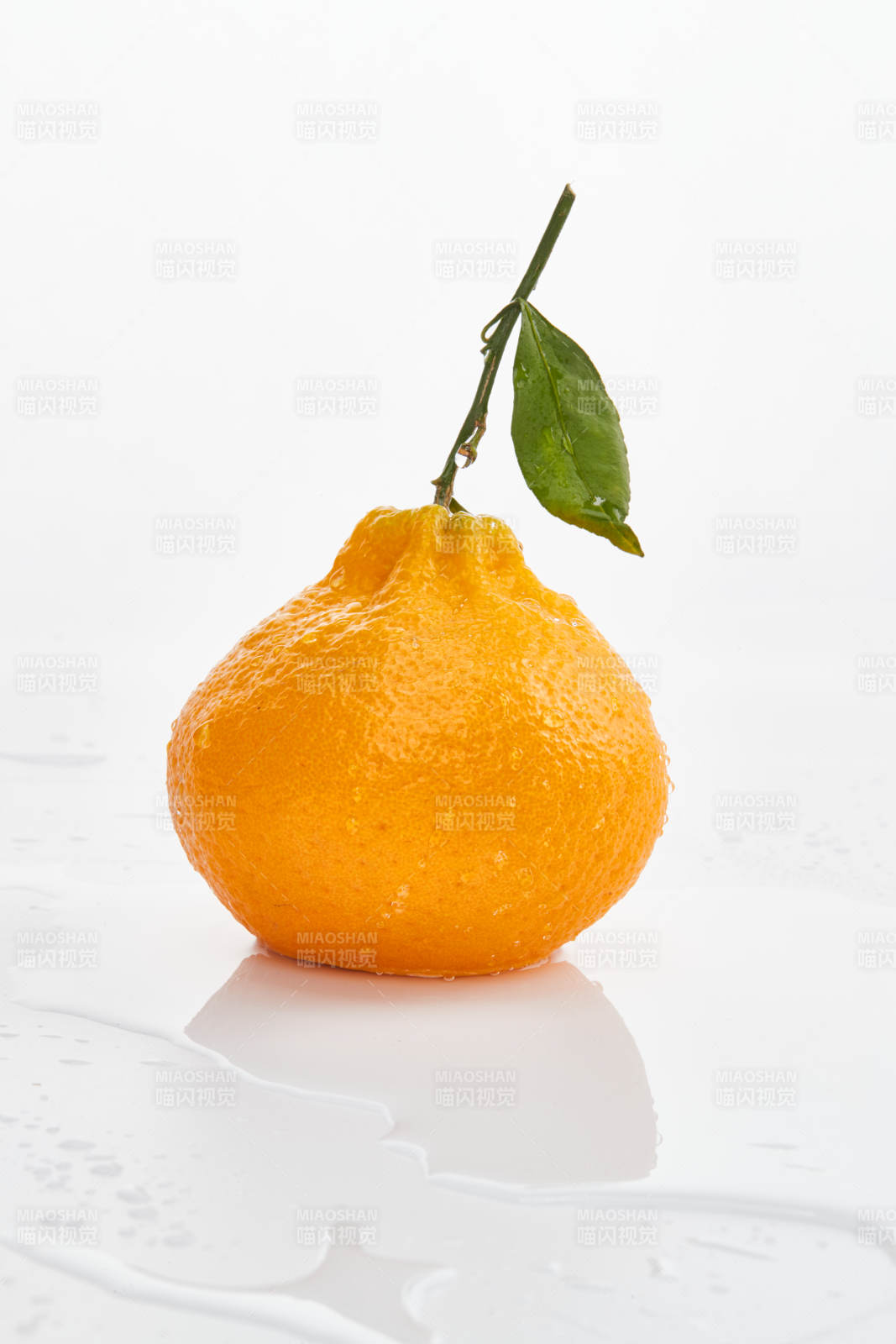 白色背景上摆放的新鲜丑橘图片