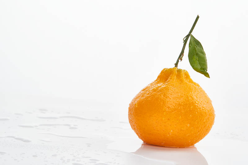 白色背景上摆放的新鲜丑橘图片