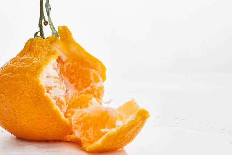 白色背景上摆放的新鲜丑橘图片