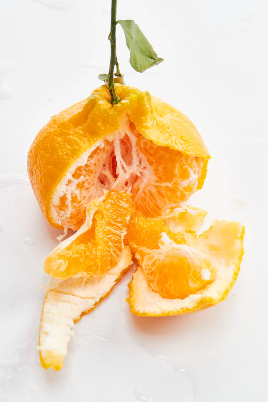 白色背景上摆放的新鲜丑橘图片