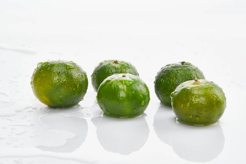 白色背景上摆放的新鲜小青柑图片