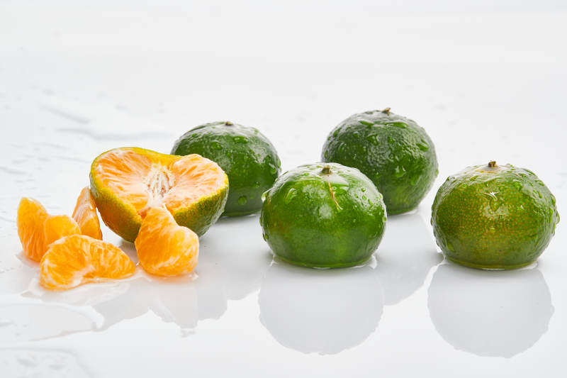 白色背景上摆放的新鲜小青柑图片