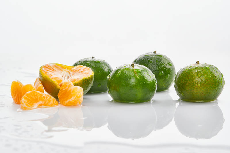 白色背景上摆放的新鲜小青柑图片