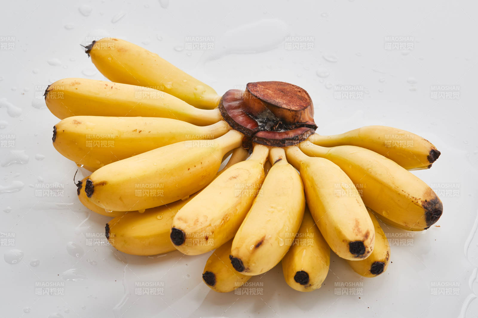 白色背景上摆放的新鲜香蕉图片