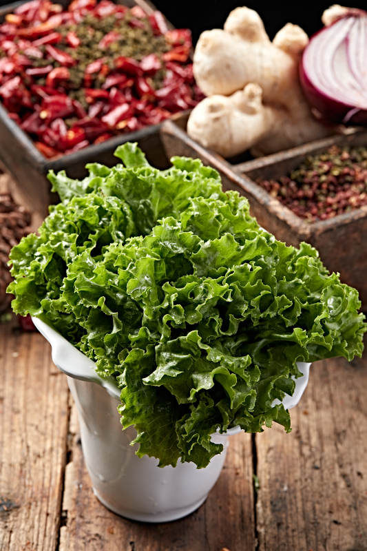 烤品大叶生菜图片