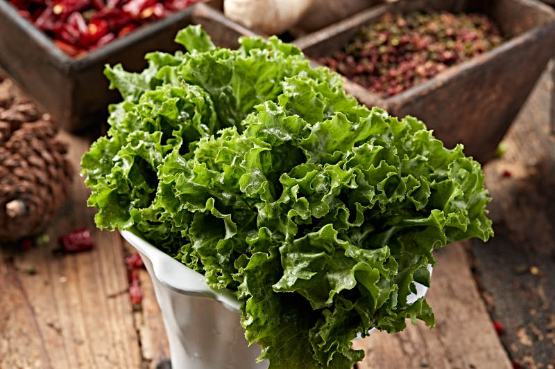 烤品大叶生菜图片