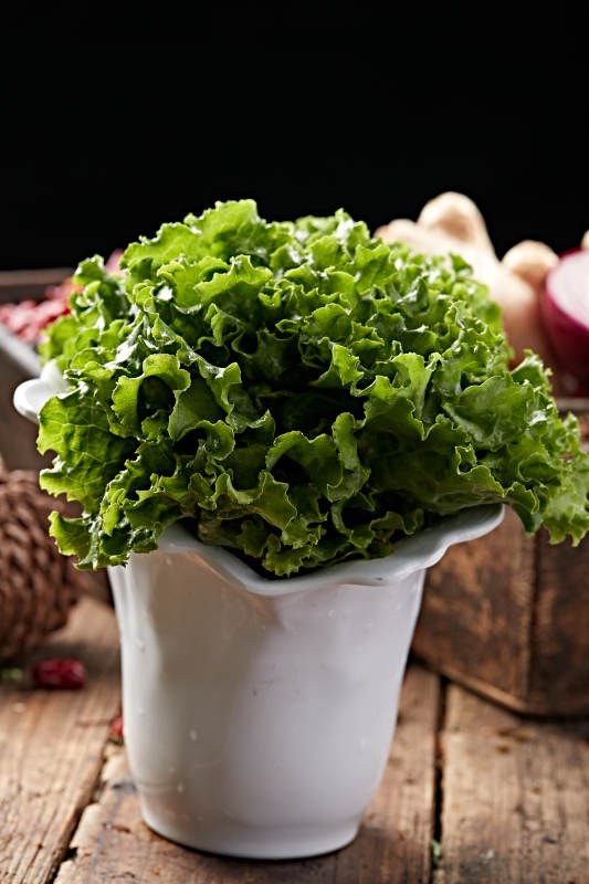 烤品大叶生菜图片