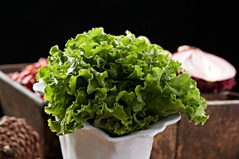 烤品大叶生菜图片