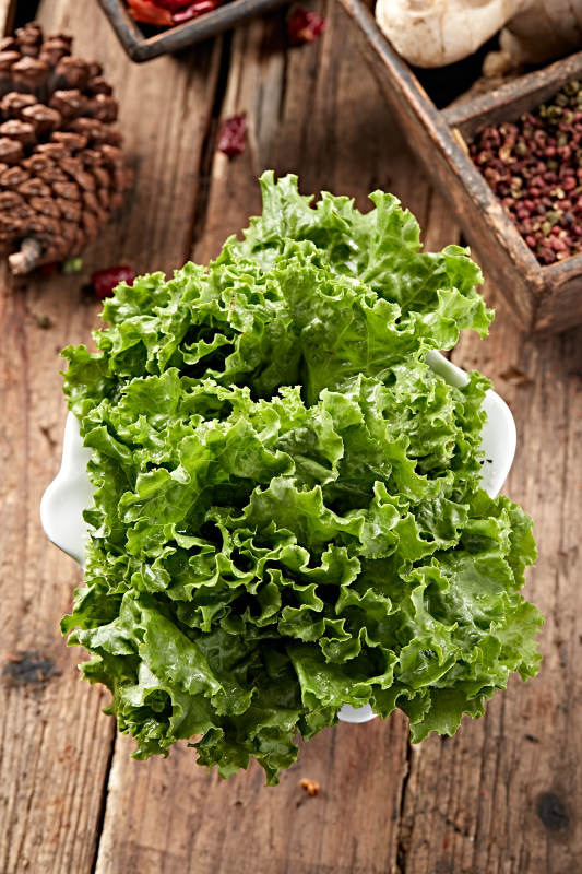 烤品大叶生菜图片