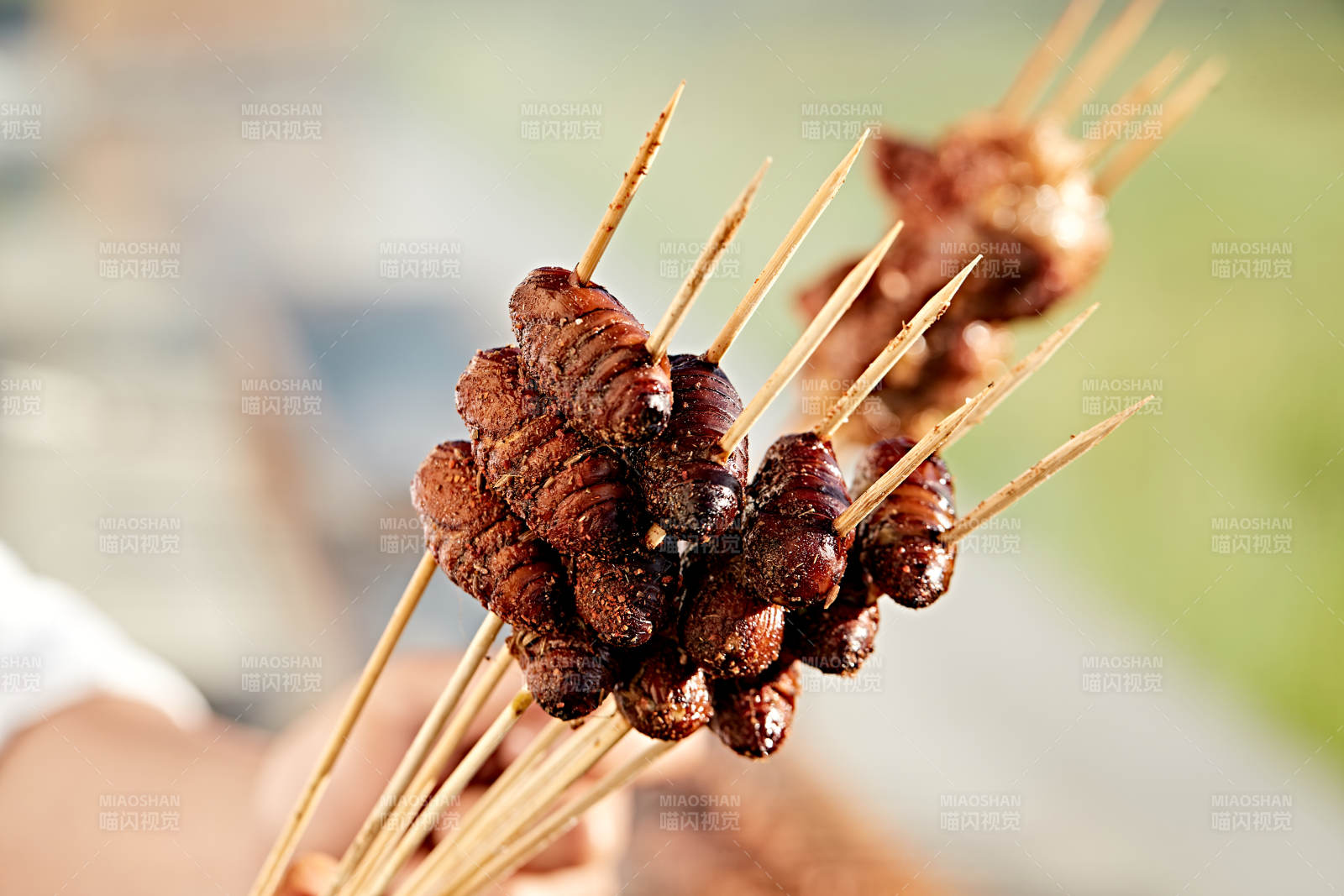 在户外烧烤美味食材图片