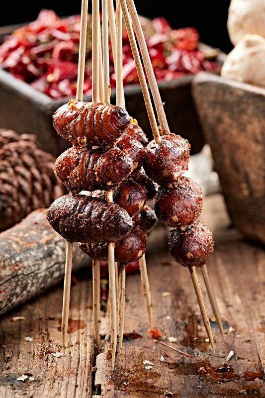 风味炭烤蚕蛹图片