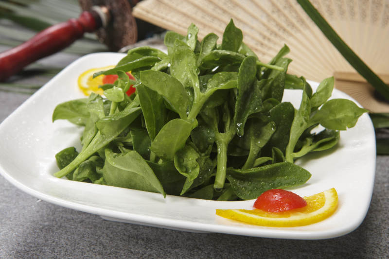 麻酱凉拌穿心莲图片