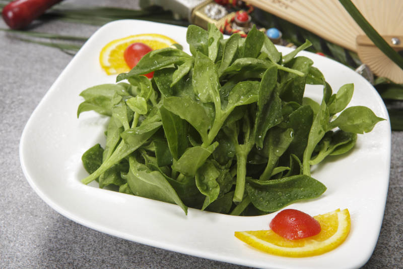 麻酱凉拌穿心莲图片