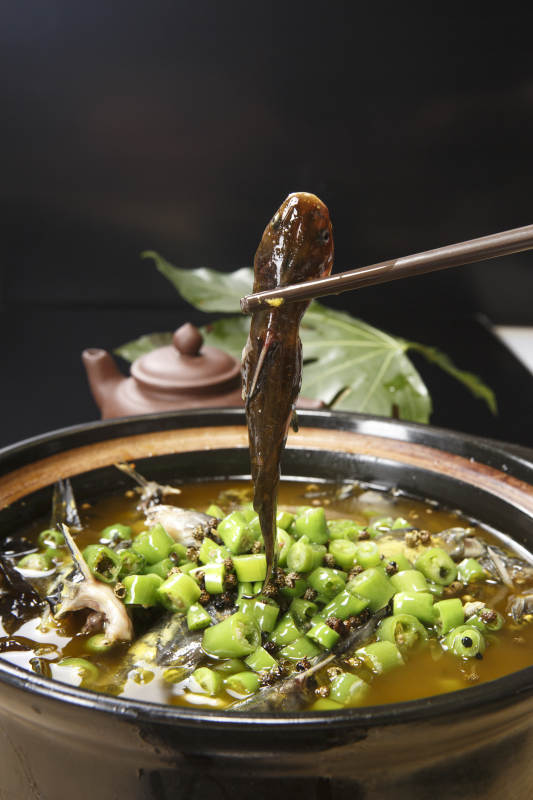 藤椒麻辣砂锅煲嘎鱼图片