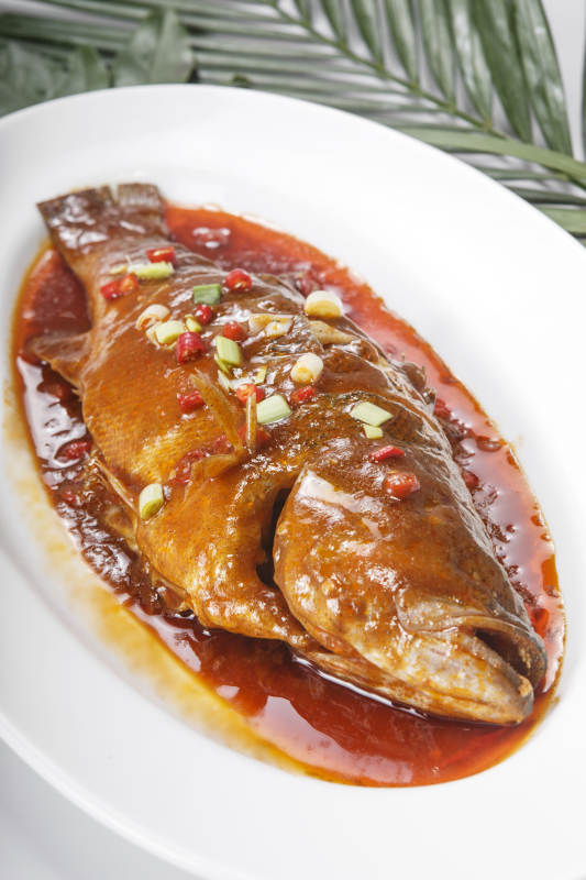 椭圆瓷盘装的红烧臭鳜鱼桂鱼图片