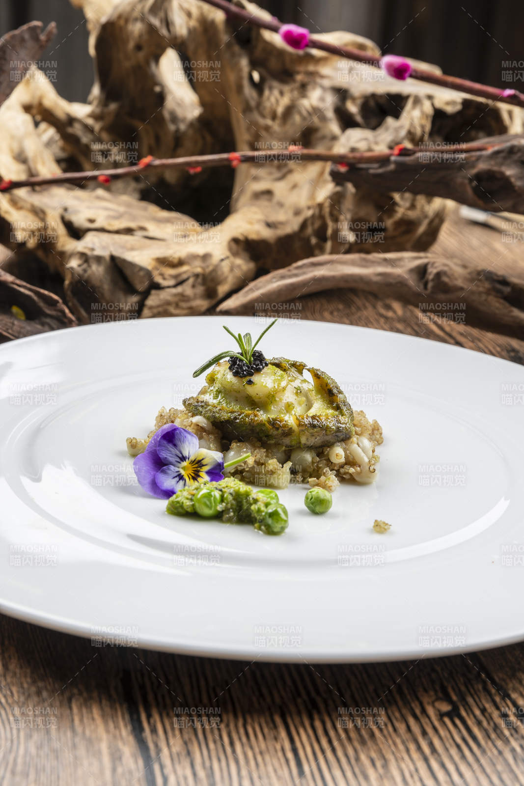 山葵鲜鲍鱼图片