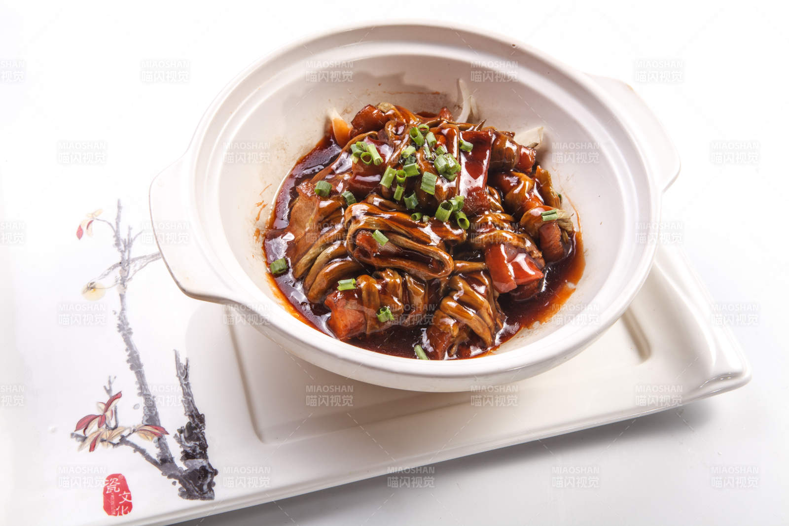 白背景上的砂锅酱焖豆角丝烧肉图片