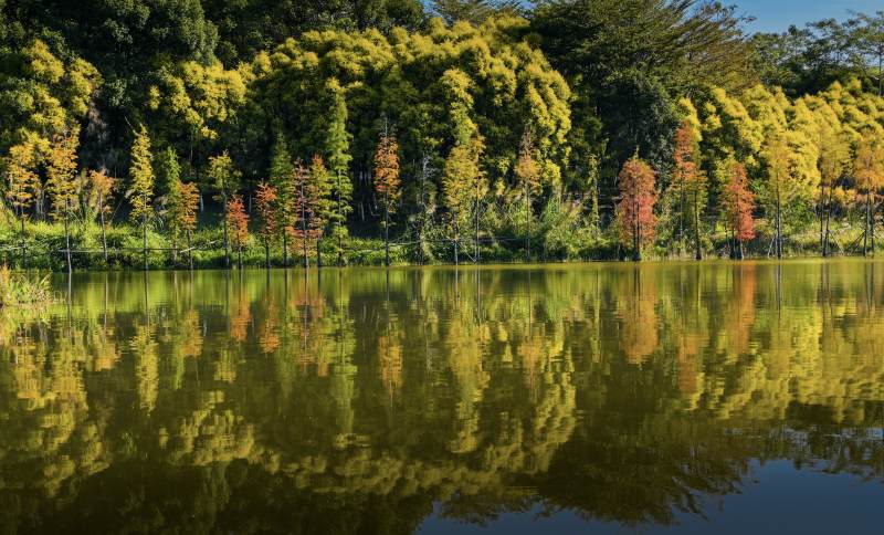 湿地公园秋湖倒影美景图片