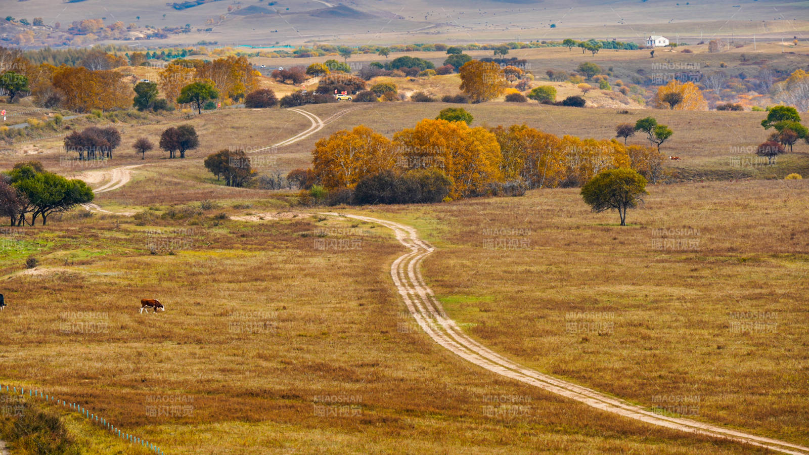 乌兰布统秋野小径图片