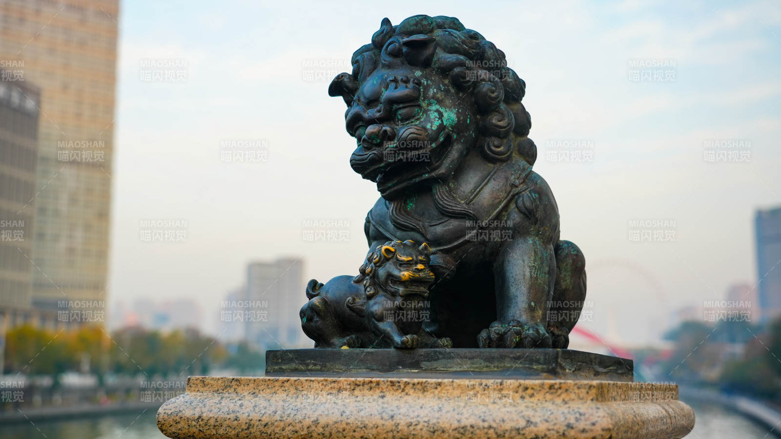 天津狮子桥铜狮守望城市天际图片