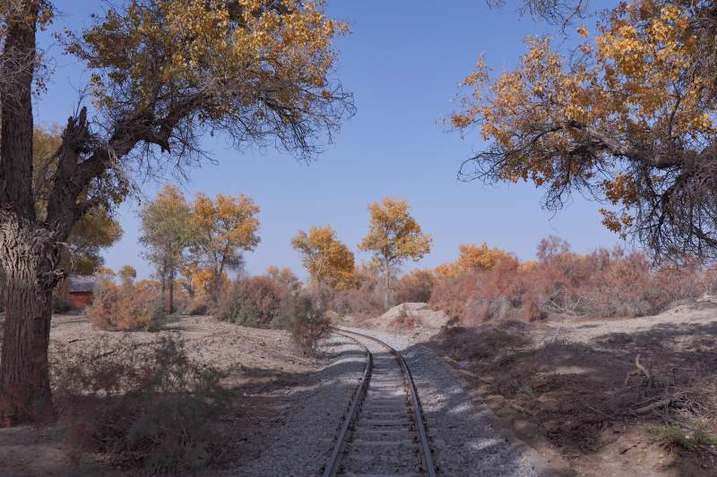 秋日铁轨风景（新疆轮台）图片