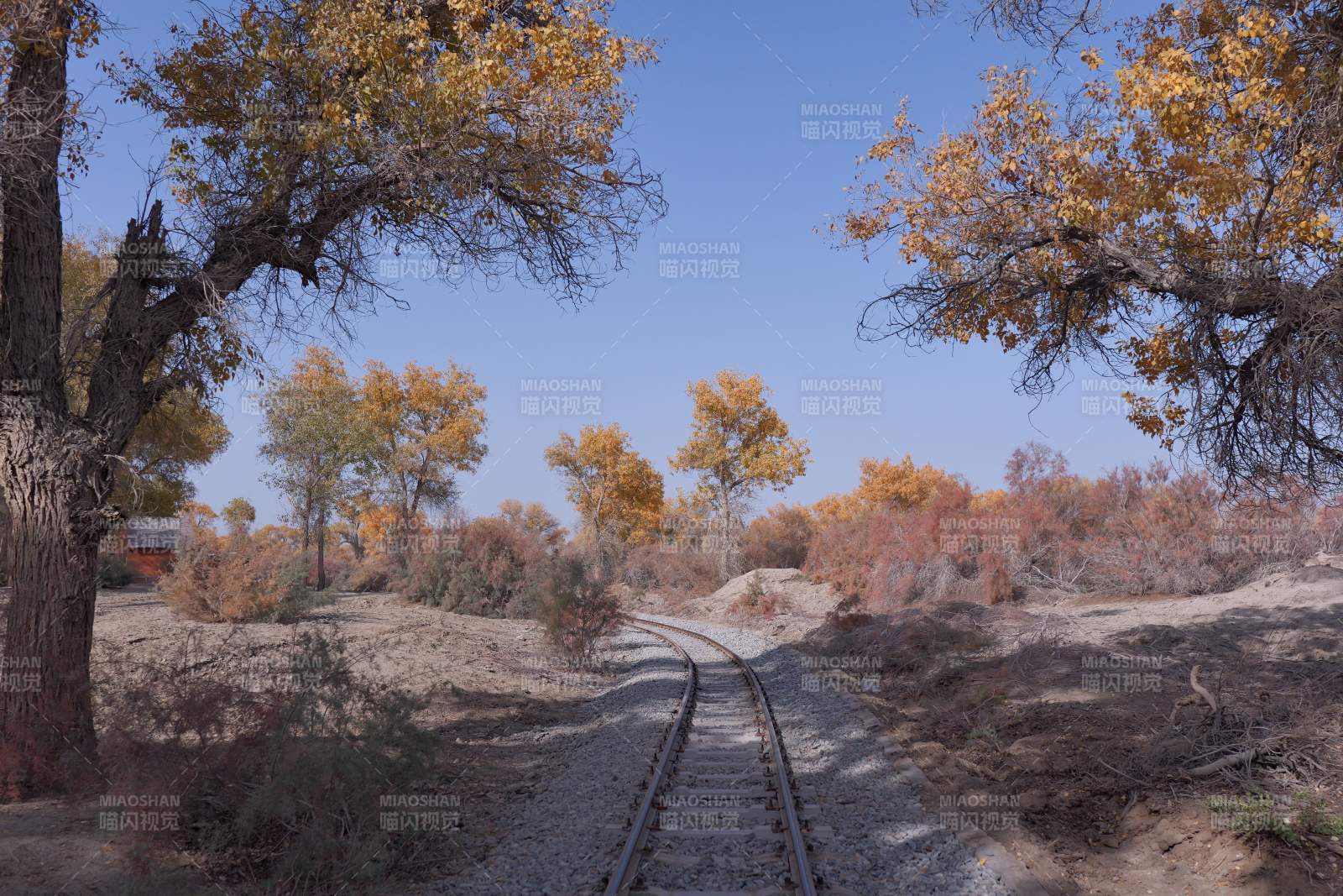 秋日铁轨风景（新疆轮台）图片