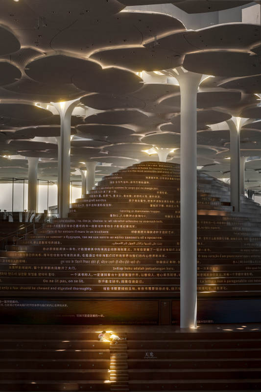 北京城市图书馆看书的孩子图片