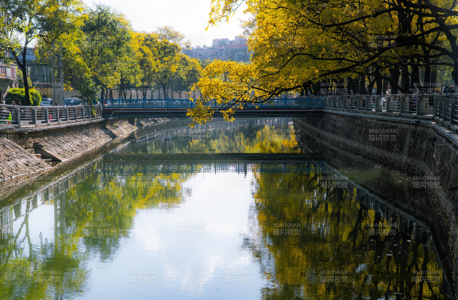 大观河面秋水映黄叶图片