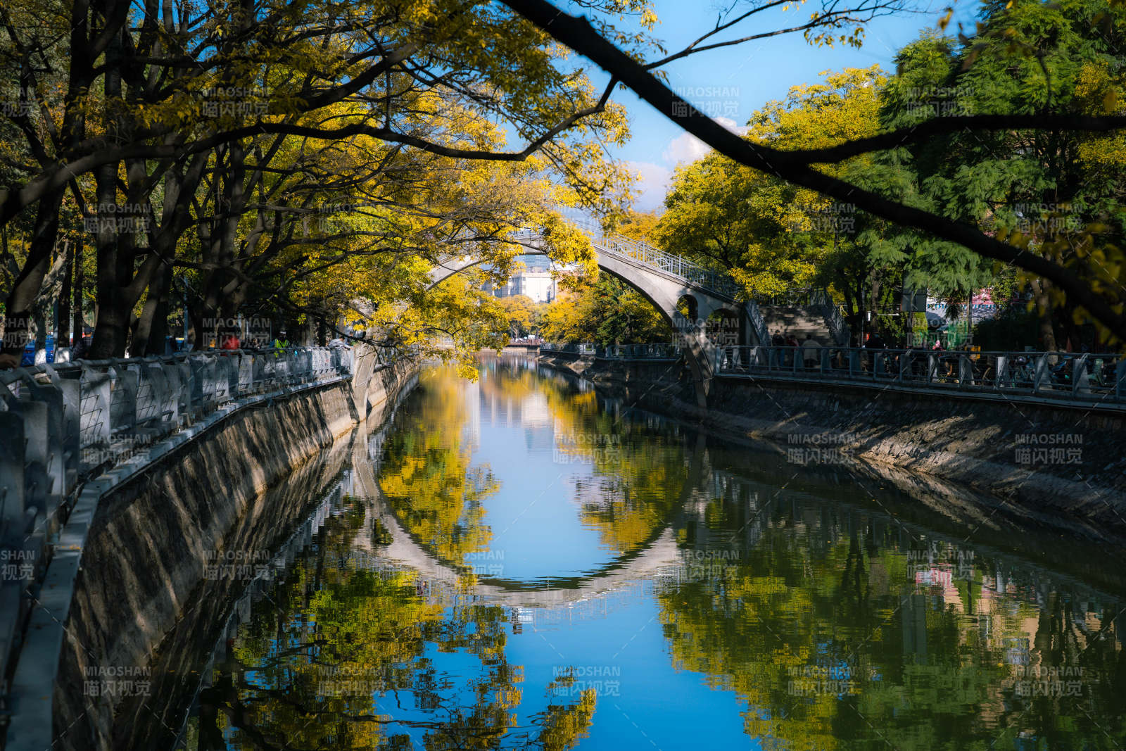 大观河畔倒影美图片