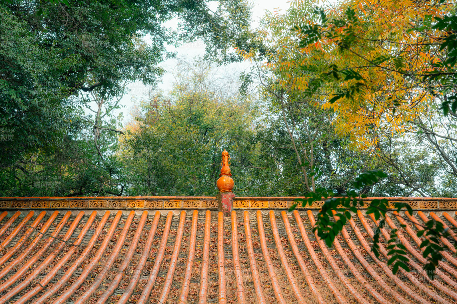 寺庙古檐秋色图片