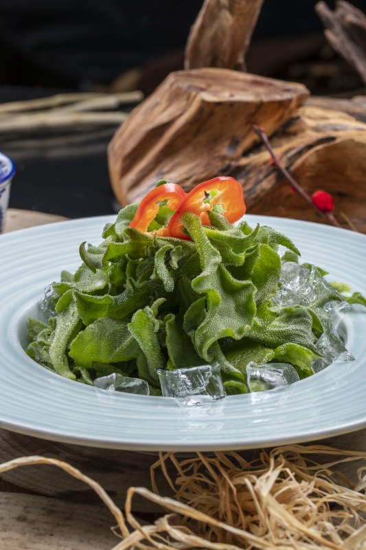 青瓷盘装的冰镇穿心莲图片