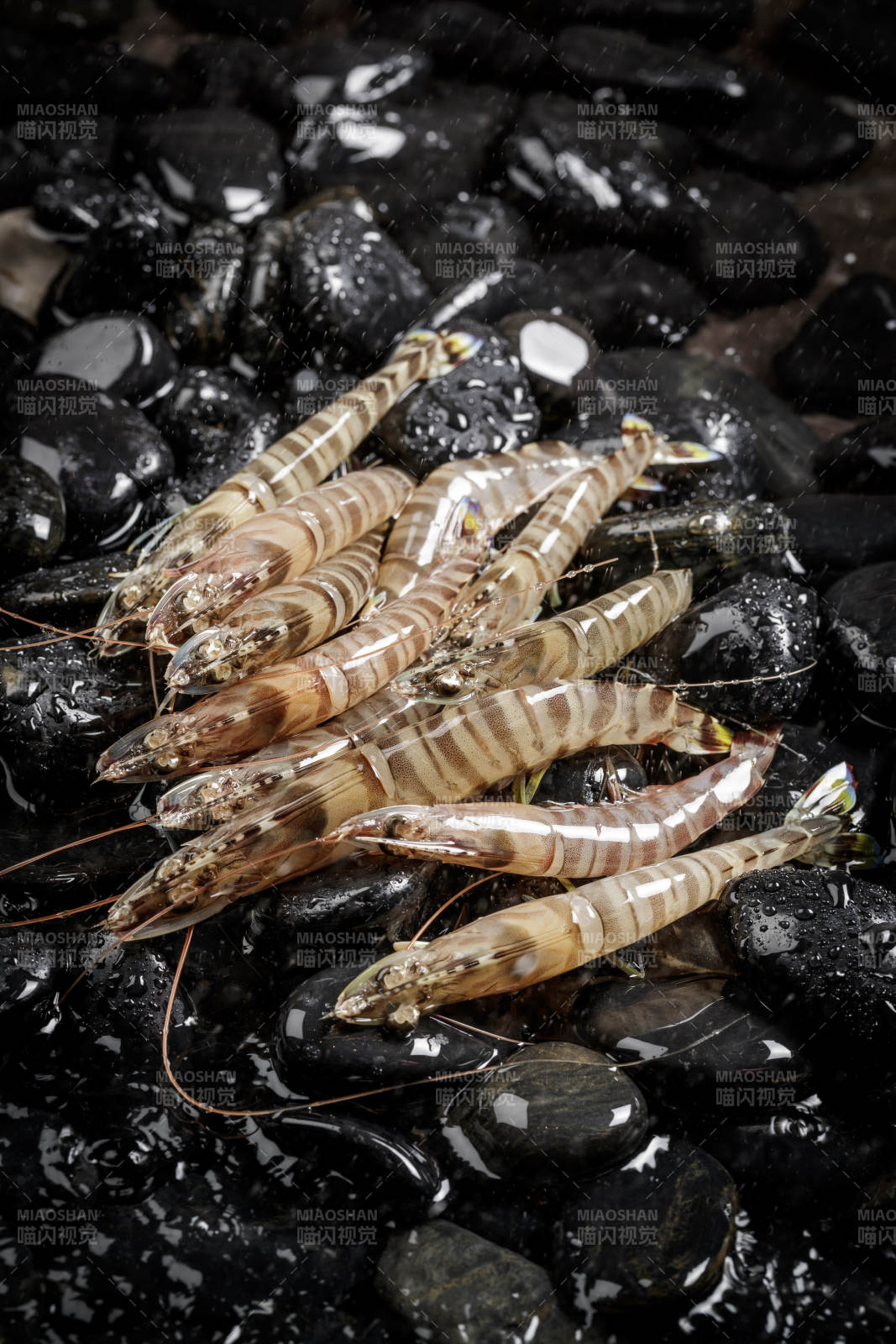 基围虾摆放在布满黑色鹅卵石的水中图片