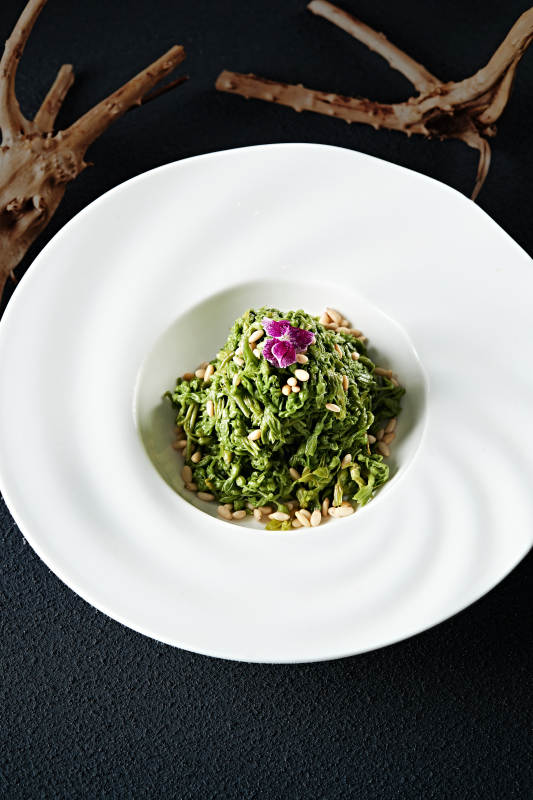 养生野菜珍珠菜夜来香图片