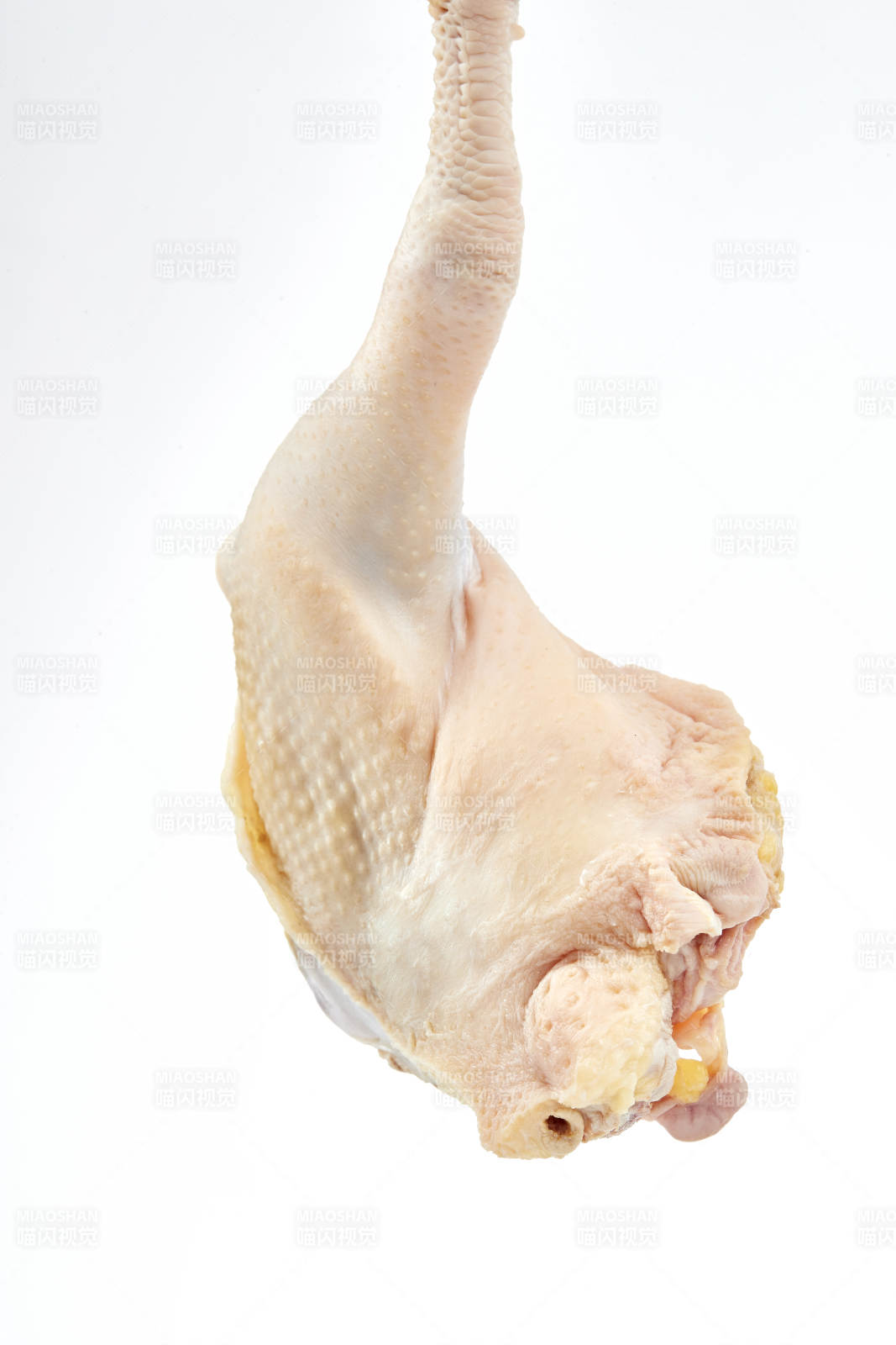 摆放在白色背景上分切好的生鲜鸡腿图片