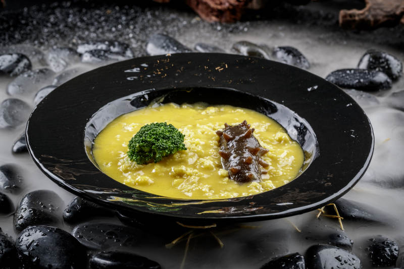 金汤薏米辽参图片