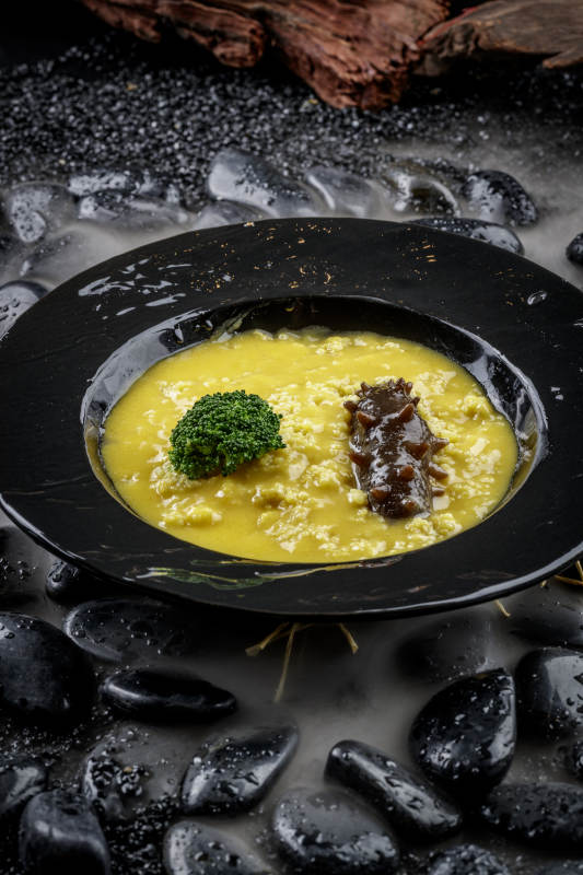 金汤薏米辽参图片