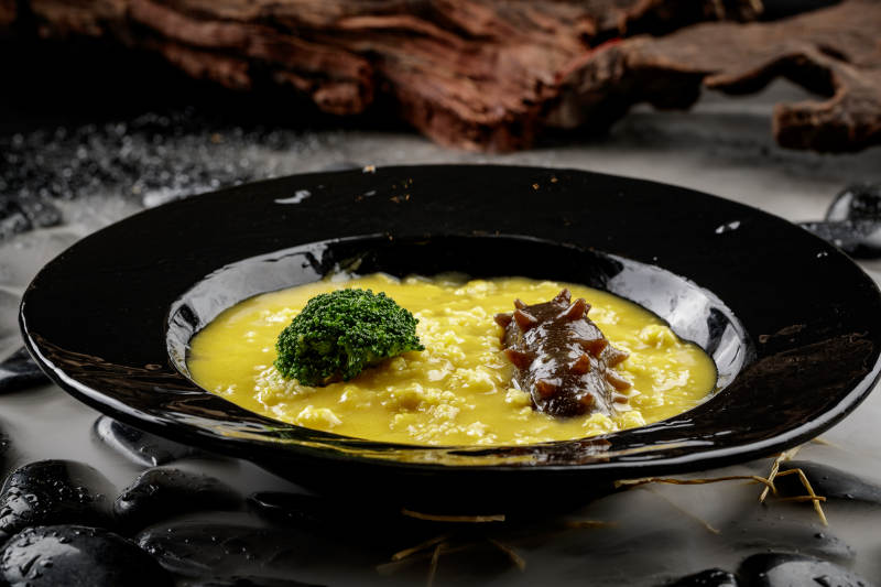 金汤薏米辽参图片