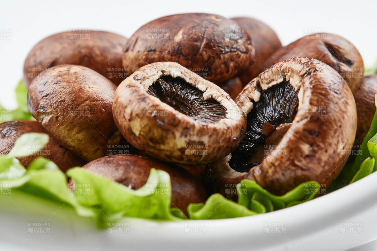 白色背景上摆放的火锅食材新鲜口蘑图片
