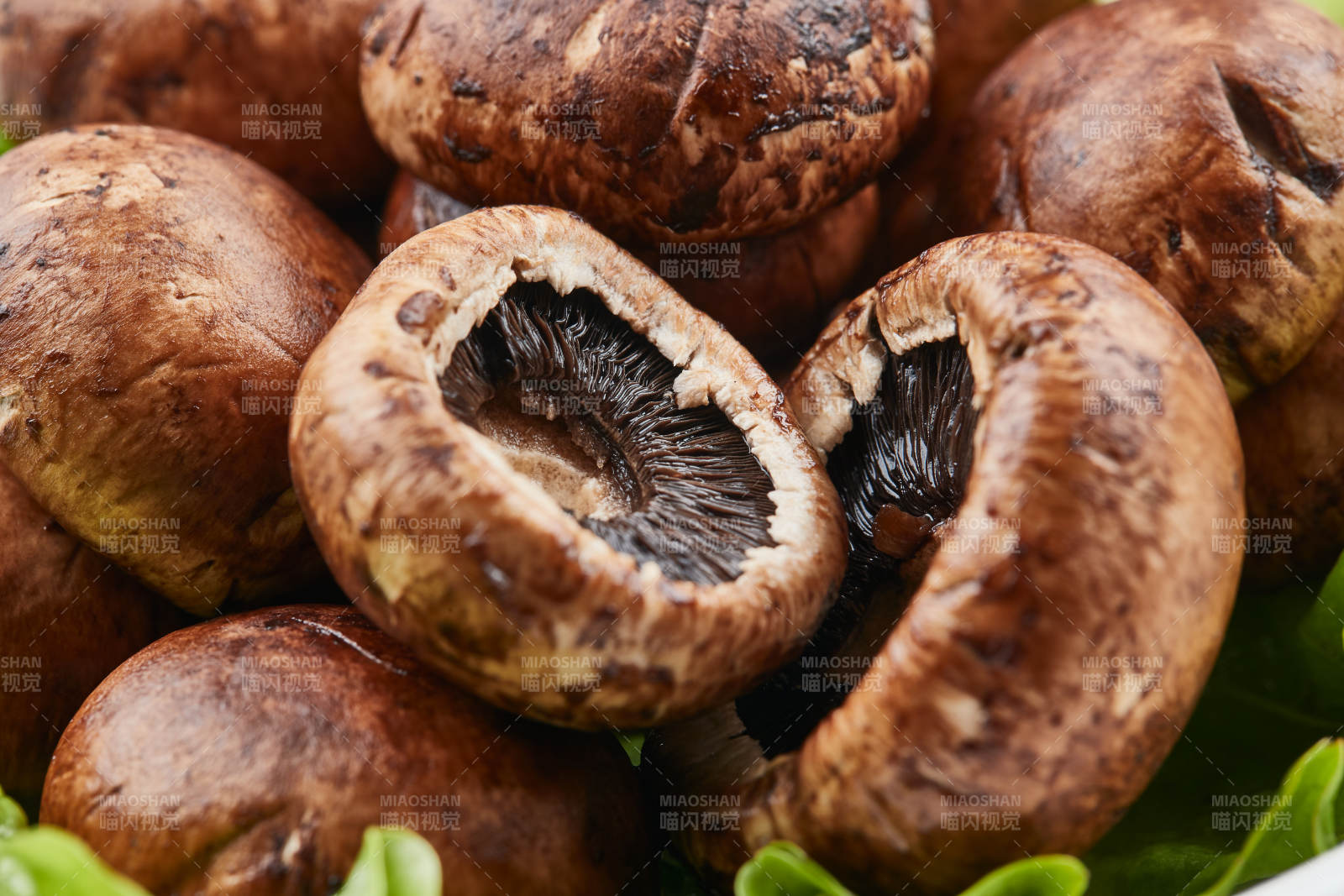 白色背景上摆放的火锅食材新鲜口蘑图片