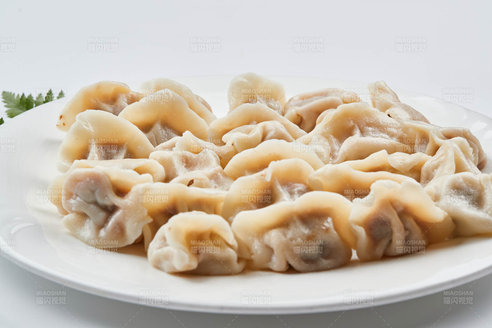 现包手工猪肉白菜饺子图片