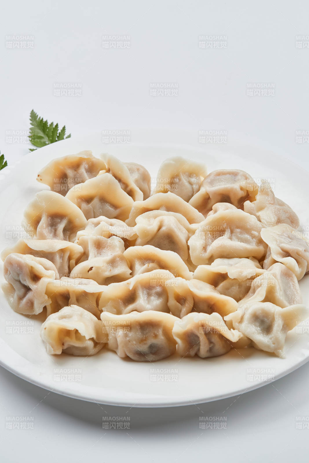 现包手工猪肉白菜饺子图片