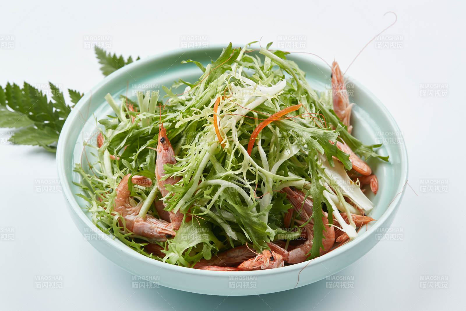 青色瓷餐具装的苦菊拌河虾图片