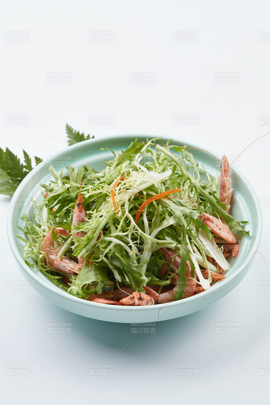 青色瓷餐具装的苦菊拌河虾图片