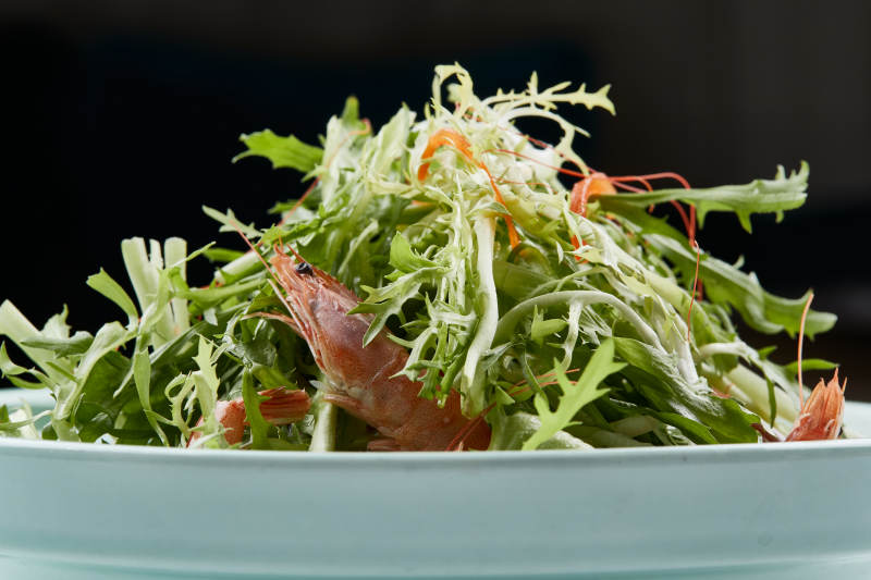 青色瓷餐具装的苦菊拌河虾图片