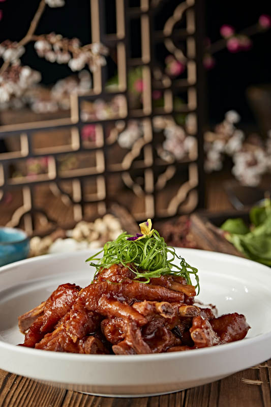 红烧凤爪猪肋排图片