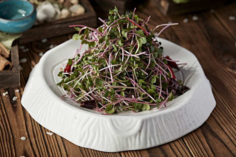 凉拌香椿苗黑豆苗图片