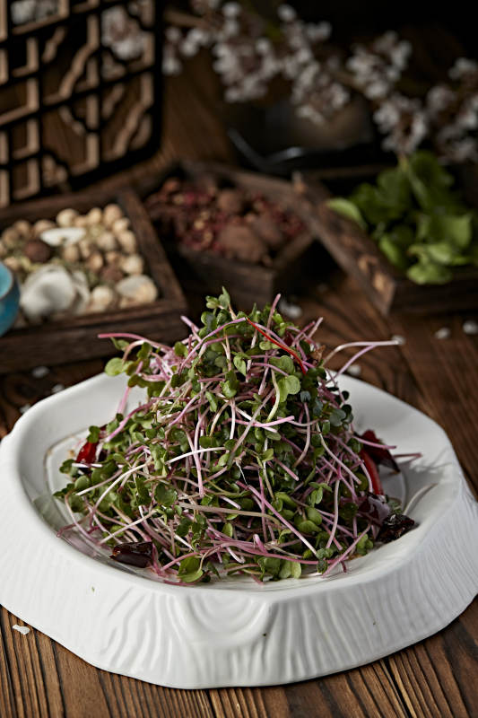 凉拌香椿苗黑豆苗图片