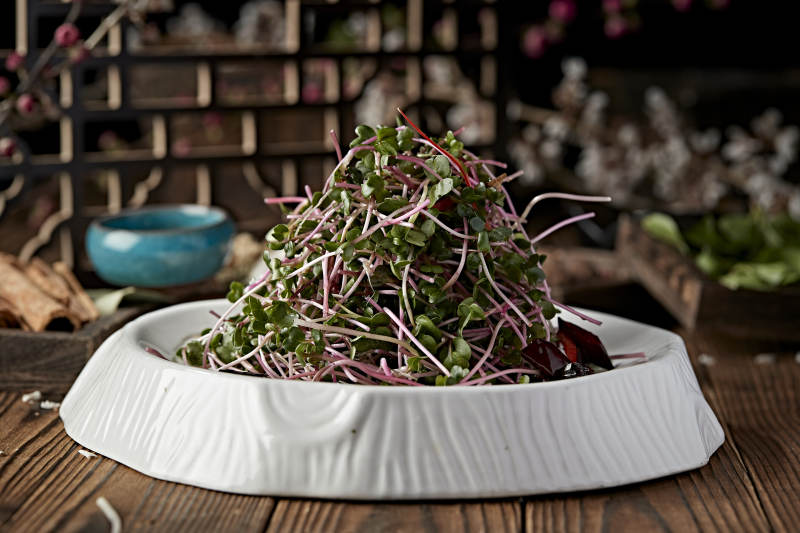 凉拌香椿苗黑豆苗图片